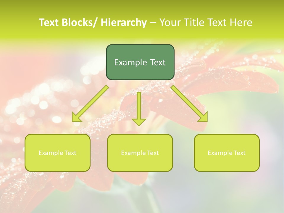 Flora Blooms Daisies PowerPoint Template
