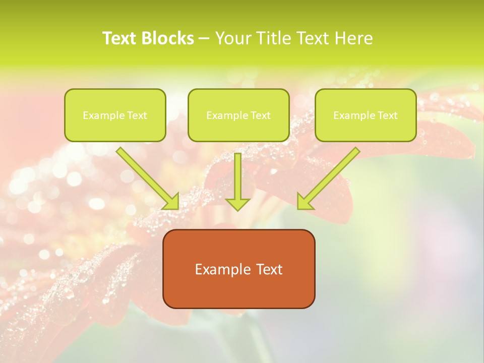 Flora Blooms Daisies PowerPoint Template