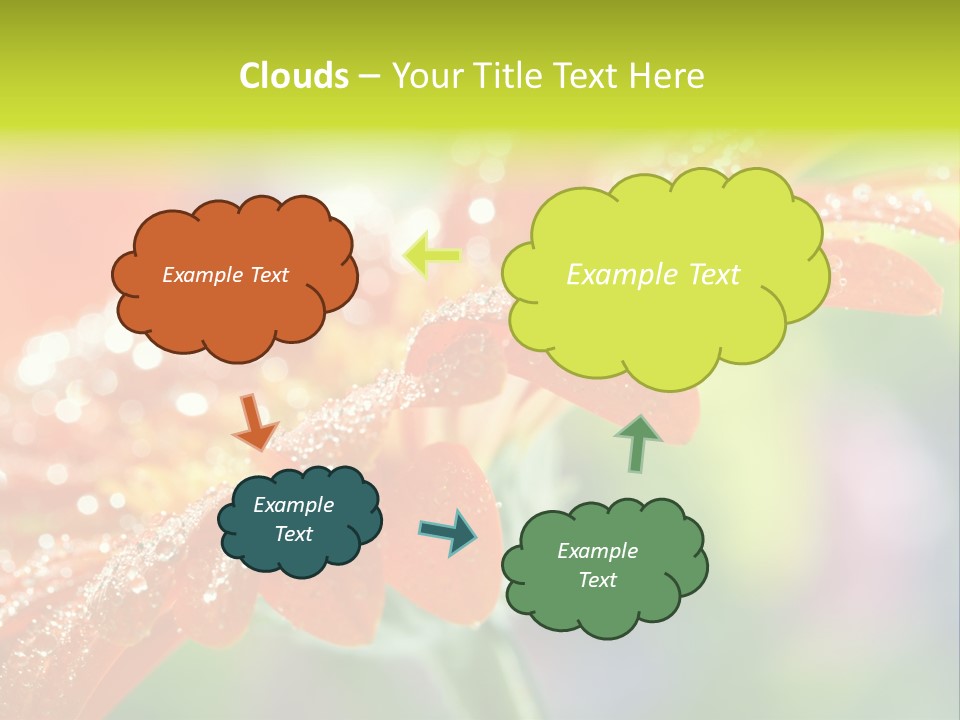 Flora Blooms Daisies PowerPoint Template