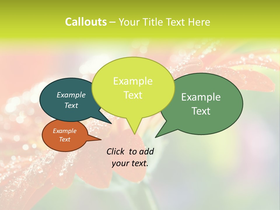 Flora Blooms Daisies PowerPoint Template