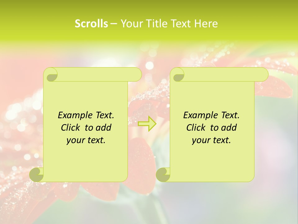 Flora Blooms Daisies PowerPoint Template