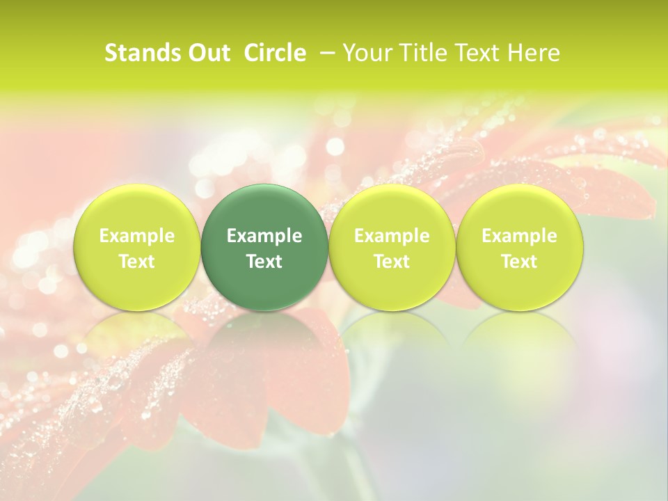 Flora Blooms Daisies PowerPoint Template