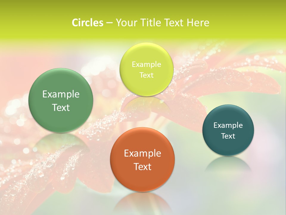 Flora Blooms Daisies PowerPoint Template