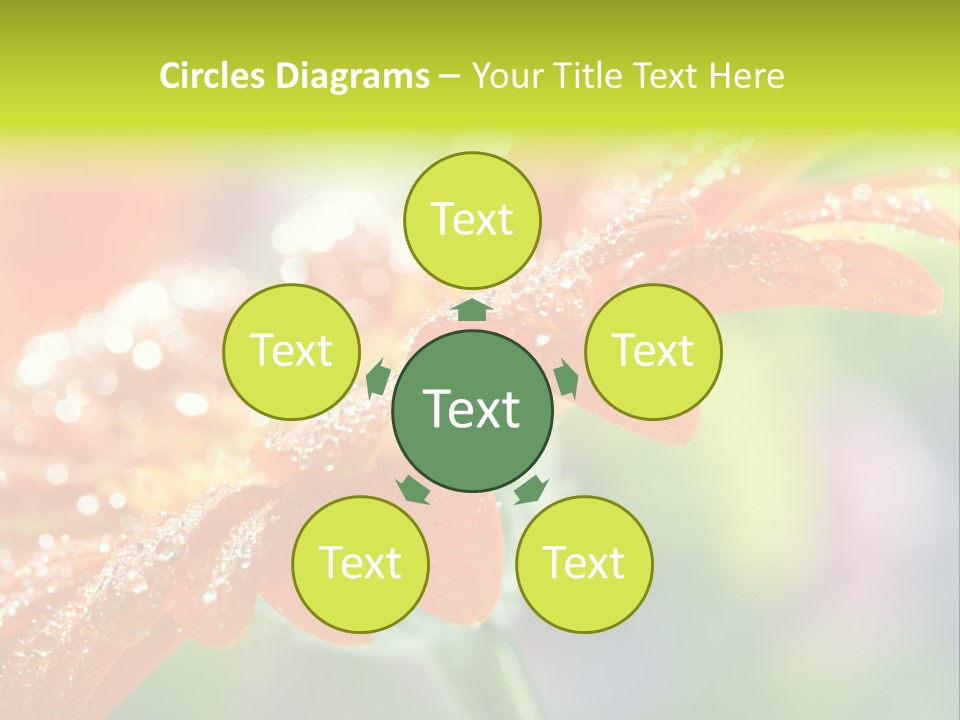 Flora Blooms Daisies PowerPoint Template