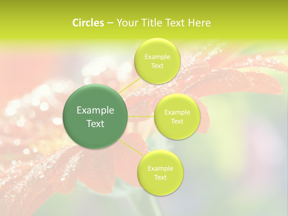 Flora Blooms Daisies PowerPoint Template