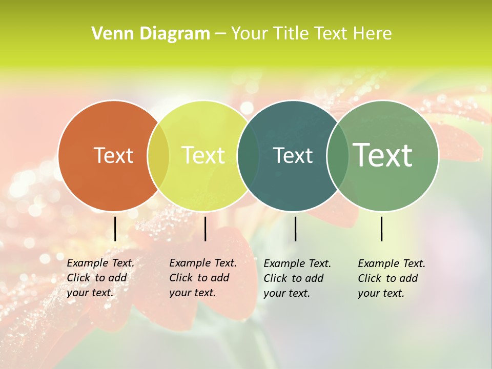 Flora Blooms Daisies PowerPoint Template