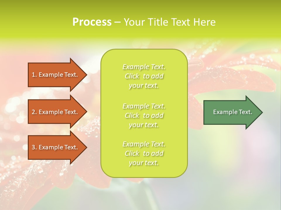 Flora Blooms Daisies PowerPoint Template