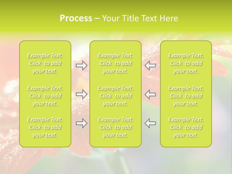Flora Blooms Daisies PowerPoint Template