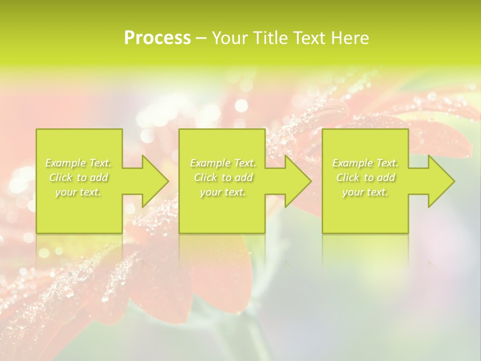 Flora Blooms Daisies PowerPoint Template