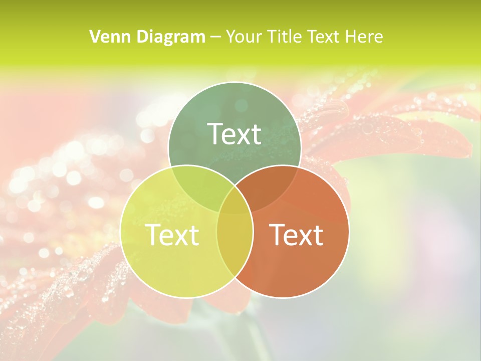 Flora Blooms Daisies PowerPoint Template