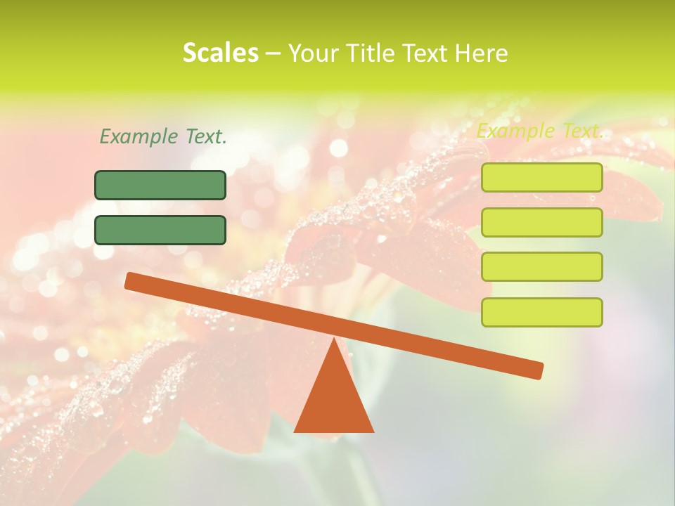 Flora Blooms Daisies PowerPoint Template