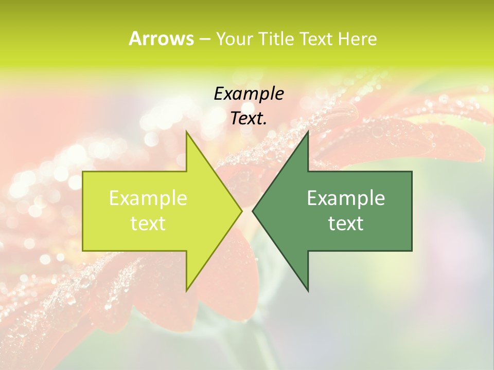 Flora Blooms Daisies PowerPoint Template