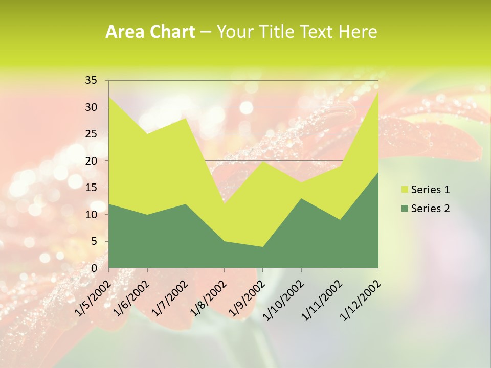 Flora Blooms Daisies PowerPoint Template