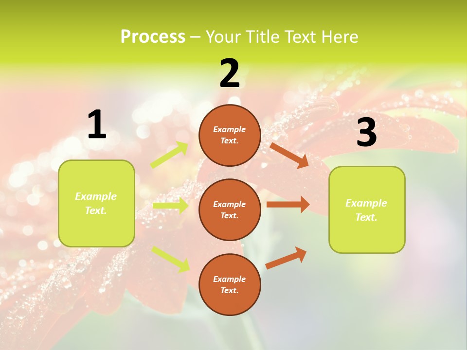Flora Blooms Daisies PowerPoint Template