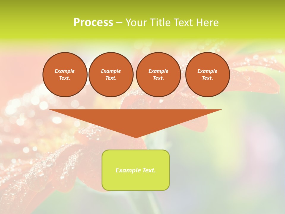 Flora Blooms Daisies PowerPoint Template