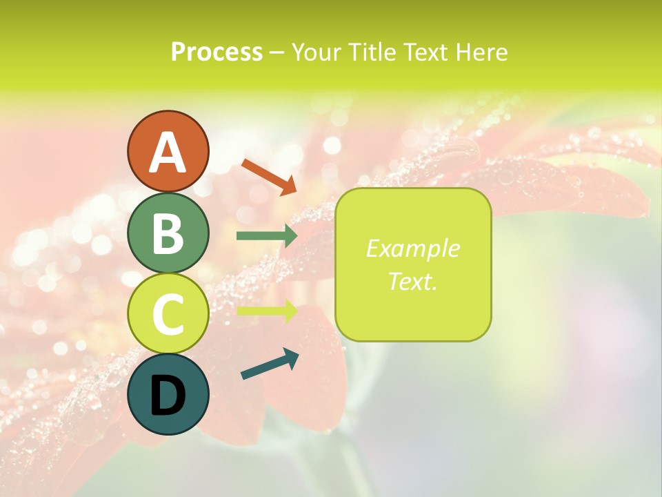 Flora Blooms Daisies PowerPoint Template