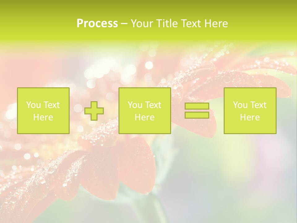 Flora Blooms Daisies PowerPoint Template