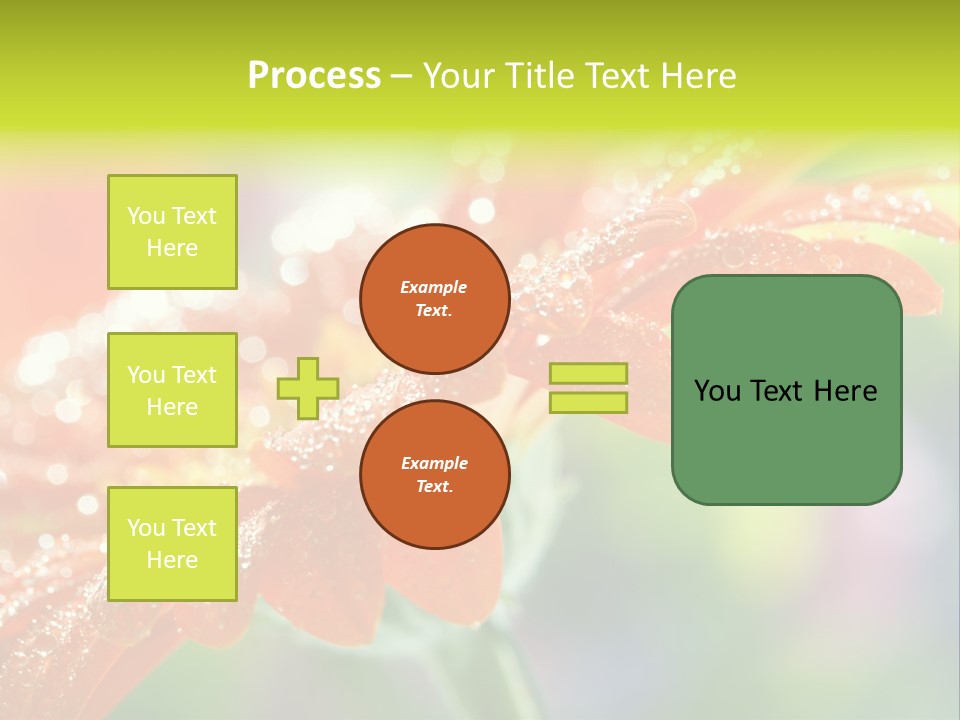 Flora Blooms Daisies PowerPoint Template