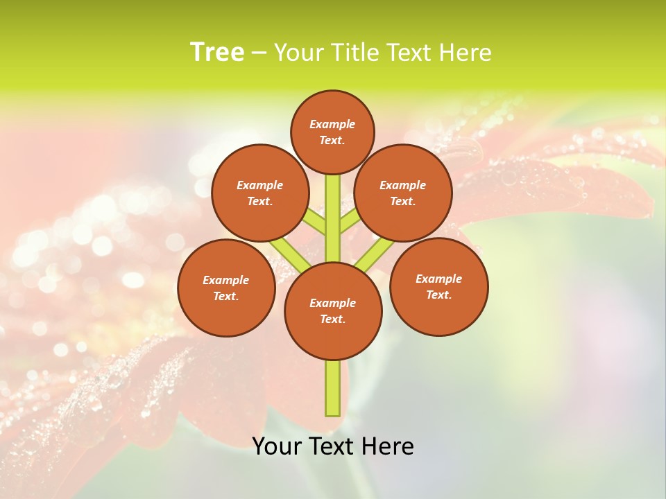 Flora Blooms Daisies PowerPoint Template