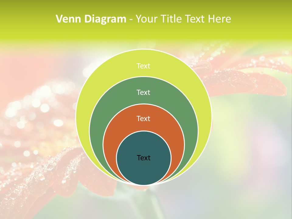 Flora Blooms Daisies PowerPoint Template