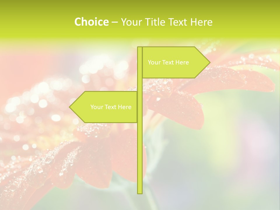 Flora Blooms Daisies PowerPoint Template