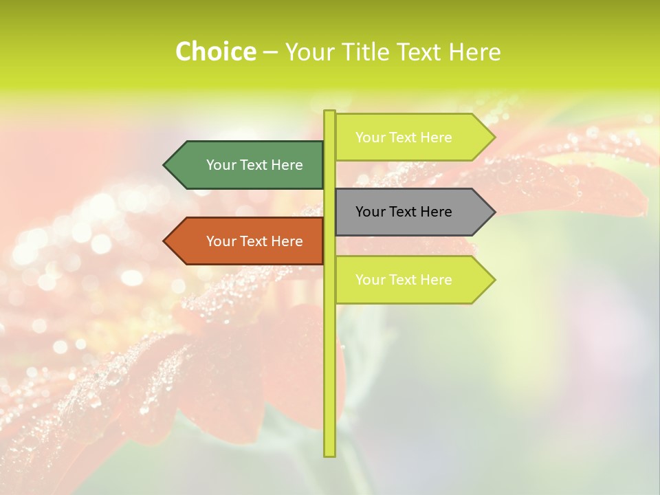 Flora Blooms Daisies PowerPoint Template