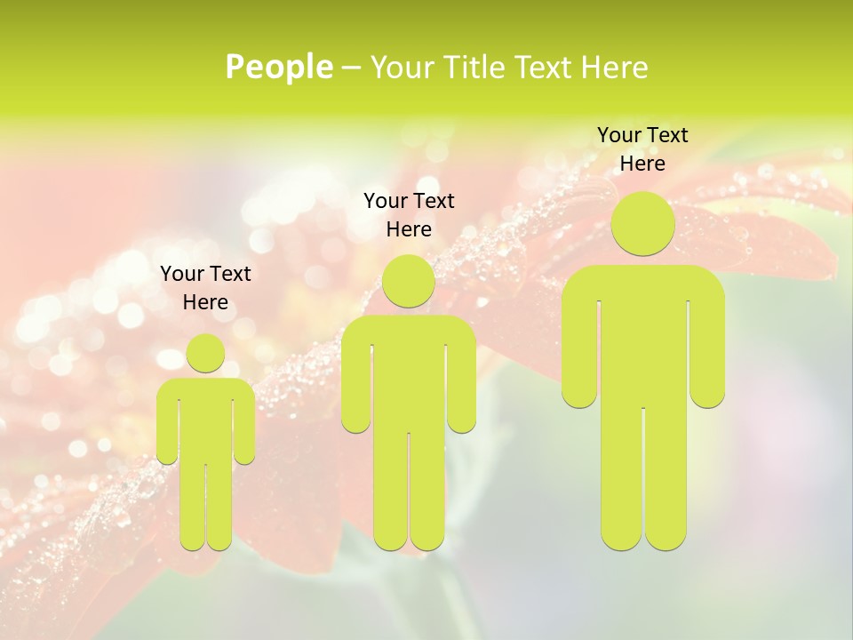 Flora Blooms Daisies PowerPoint Template