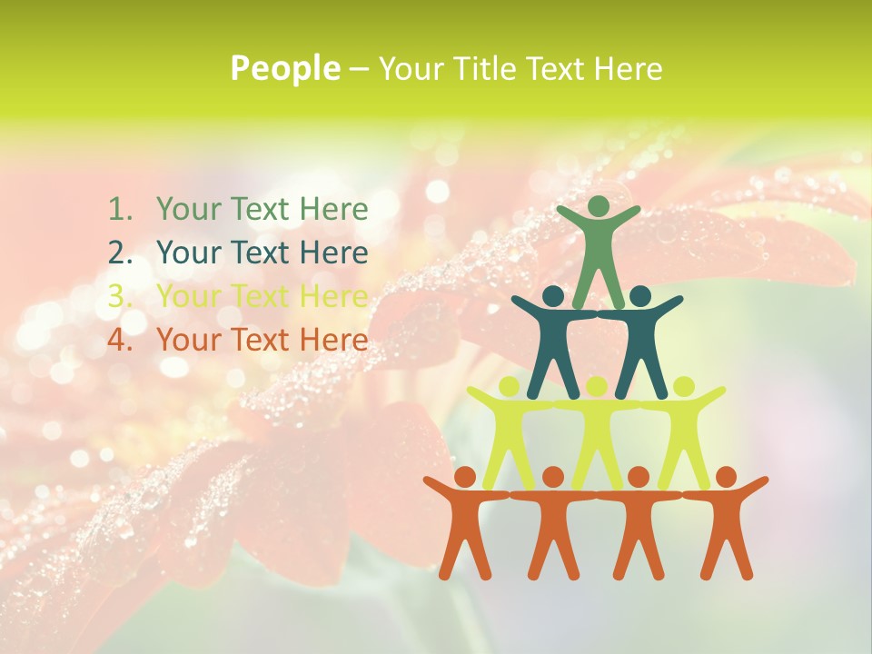 Flora Blooms Daisies PowerPoint Template