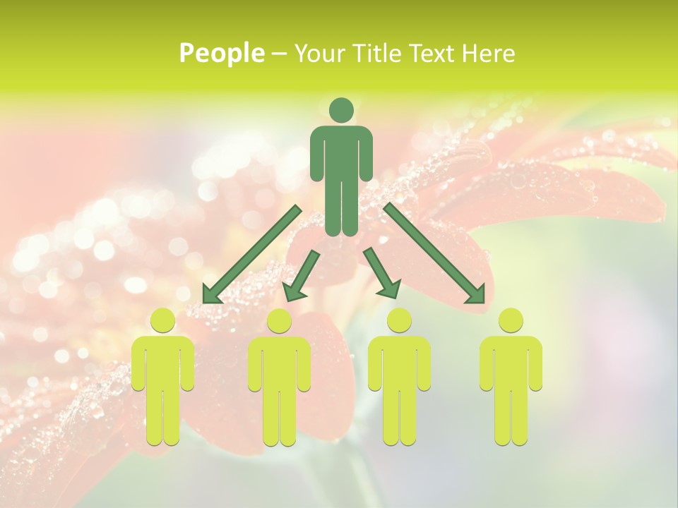 Flora Blooms Daisies PowerPoint Template