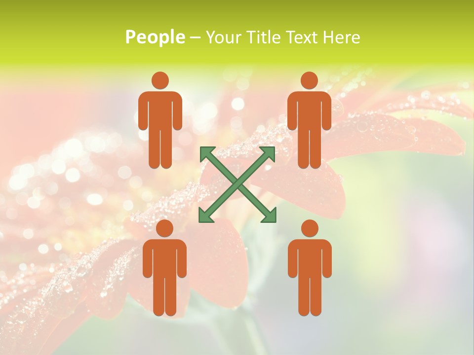 Flora Blooms Daisies PowerPoint Template