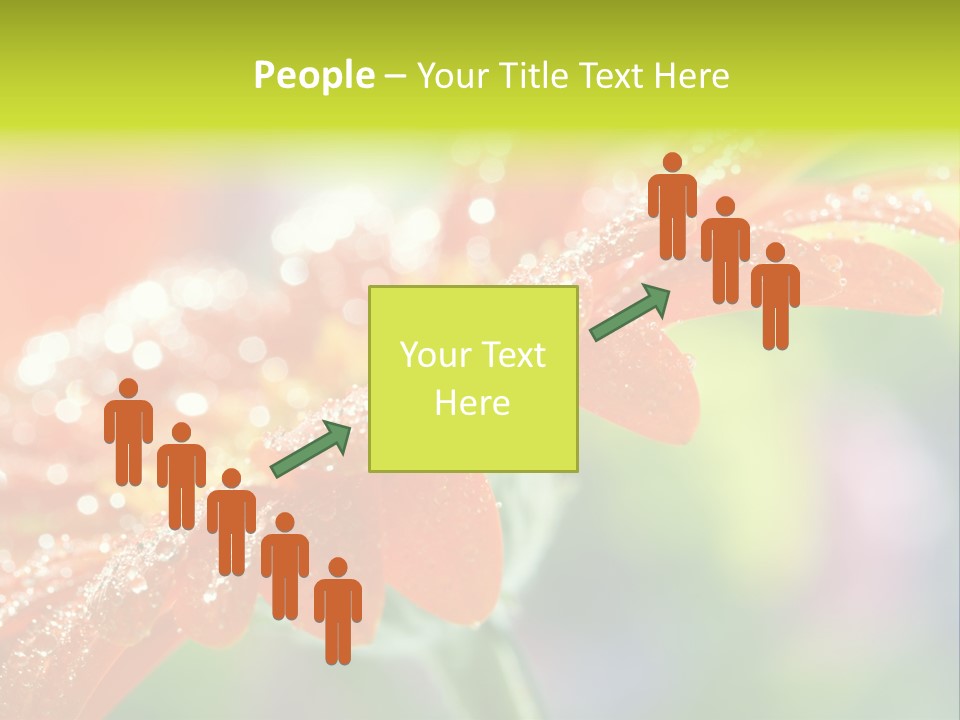 Flora Blooms Daisies PowerPoint Template