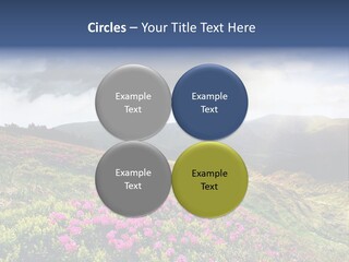 Weather Summer Heaven PowerPoint Template