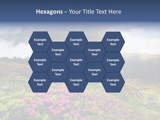 Weather Summer Heaven PowerPoint Template
