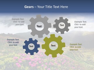 Weather Summer Heaven PowerPoint Template