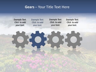 Weather Summer Heaven PowerPoint Template