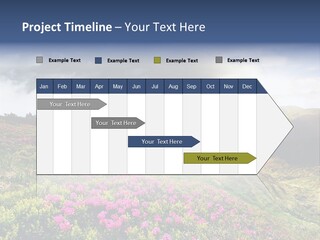 Weather Summer Heaven PowerPoint Template
