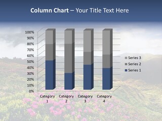 Weather Summer Heaven PowerPoint Template