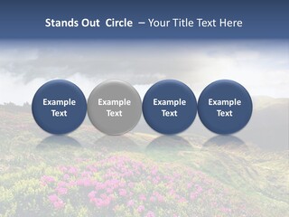 Weather Summer Heaven PowerPoint Template