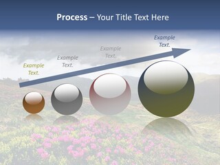 Weather Summer Heaven PowerPoint Template