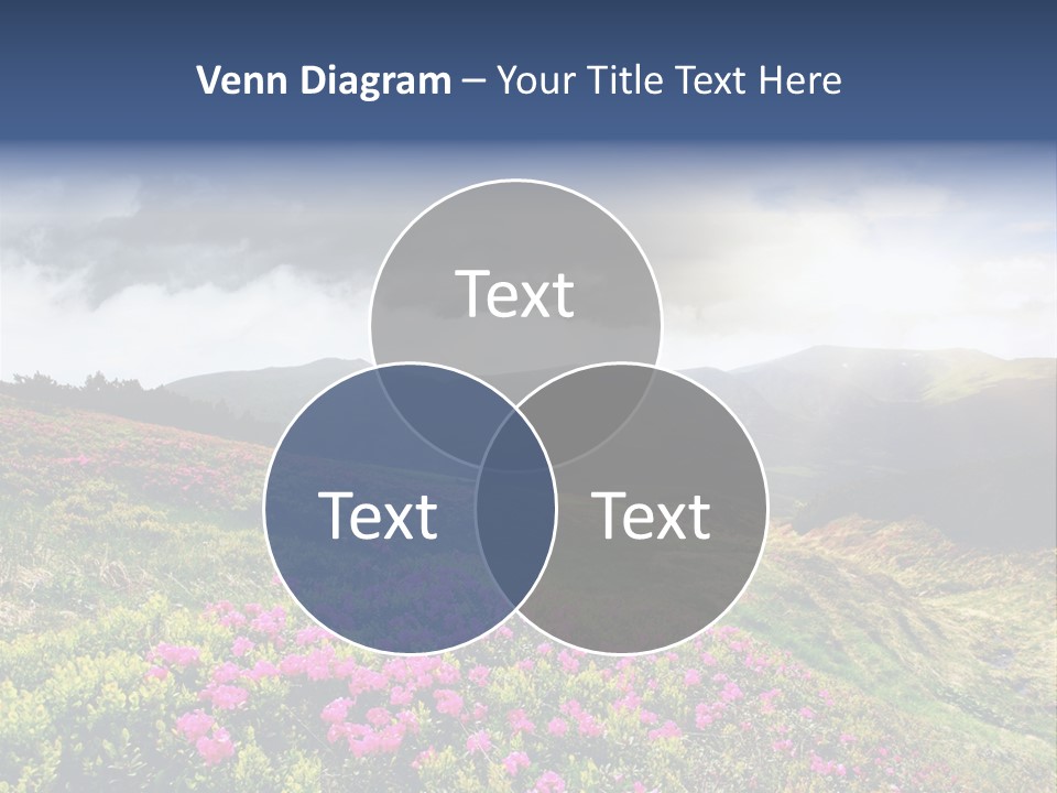 Weather Summer Heaven PowerPoint Template