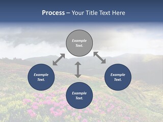 Weather Summer Heaven PowerPoint Template