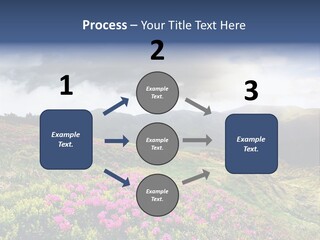 Weather Summer Heaven PowerPoint Template