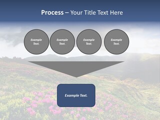 Weather Summer Heaven PowerPoint Template