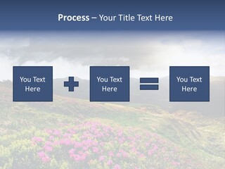 Weather Summer Heaven PowerPoint Template