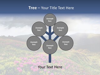 Weather Summer Heaven PowerPoint Template