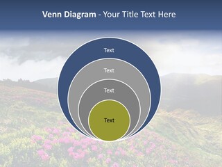 Weather Summer Heaven PowerPoint Template