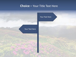 Weather Summer Heaven PowerPoint Template
