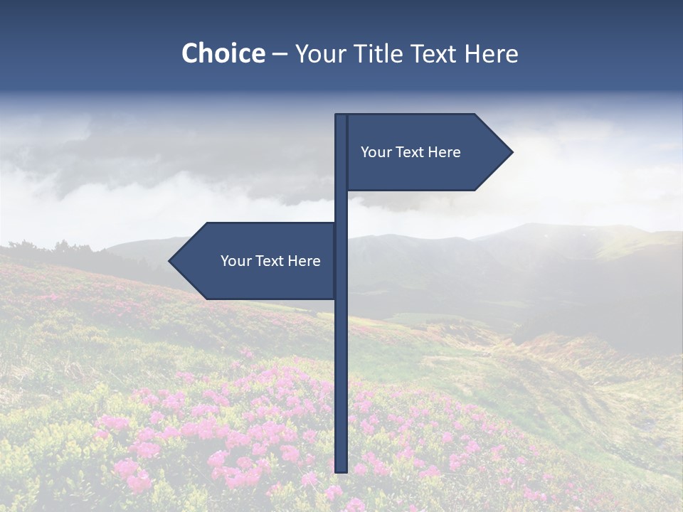Weather Summer Heaven PowerPoint Template