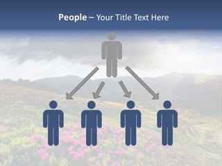 Weather Summer Heaven PowerPoint Template