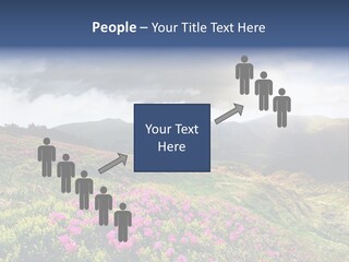 Weather Summer Heaven PowerPoint Template